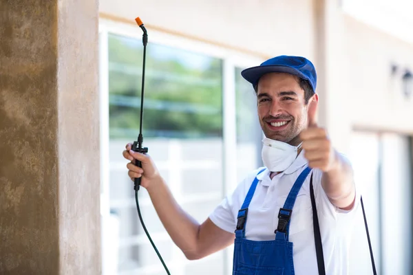 Southlake Wasp Removal