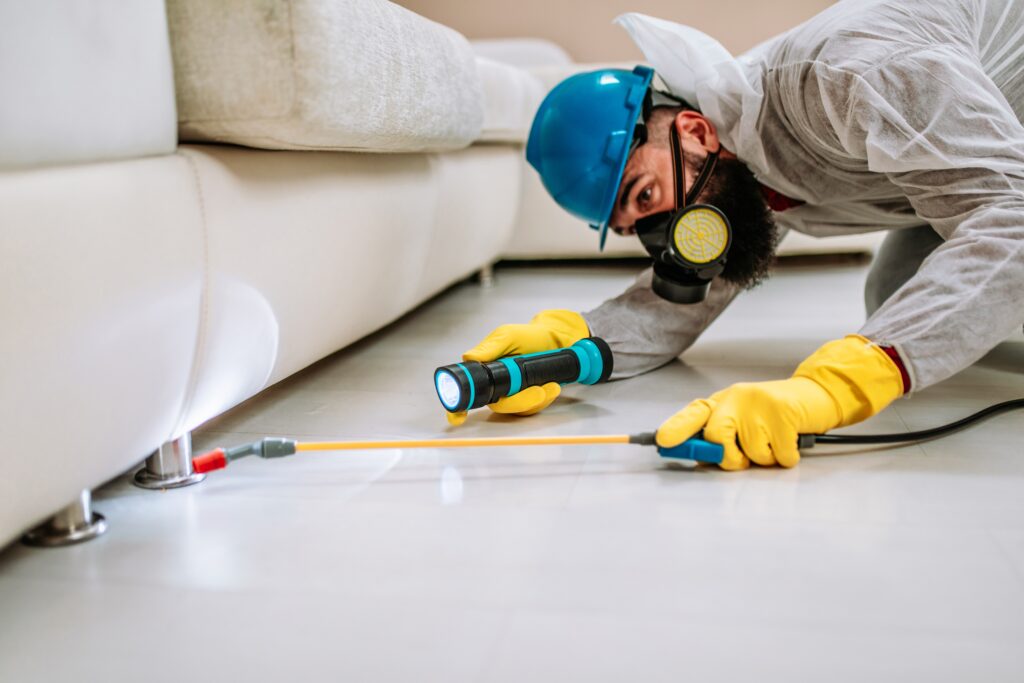 Southlake Termite Control
