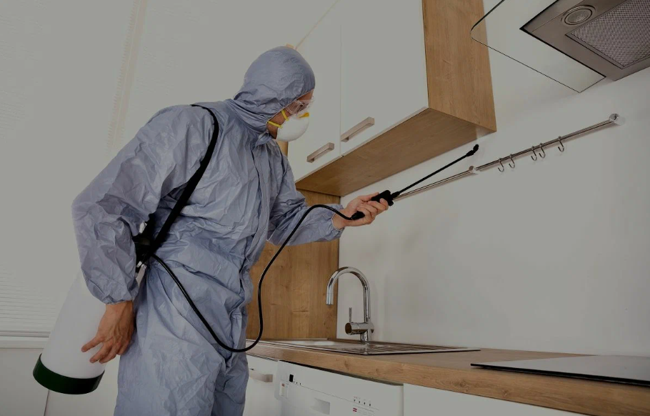 Southlake pest managment